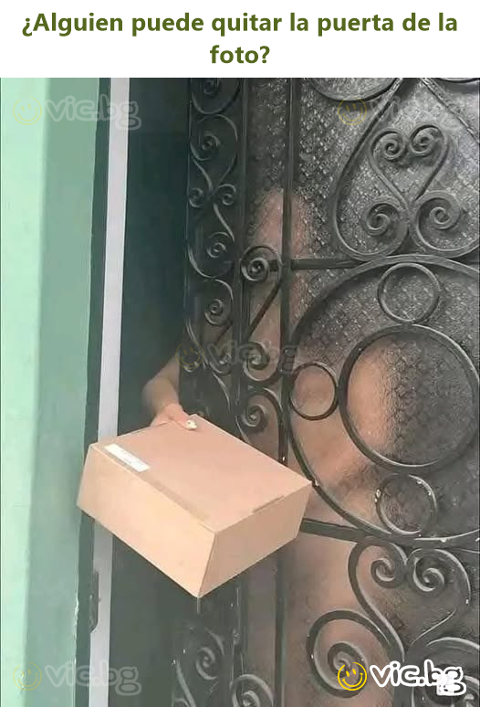 ¿Alguien puede quitar la puerta de la foto?