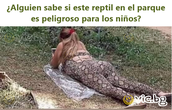 ¿Alguien sabe si este reptil en el parque es peligroso para los niños?