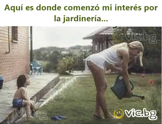 Aquí es donde comenzó mi interés por la jardinería...