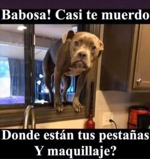 Babosa! Casi te muerdo o el ¡ Donde están tus pestañas Y maquillaje?