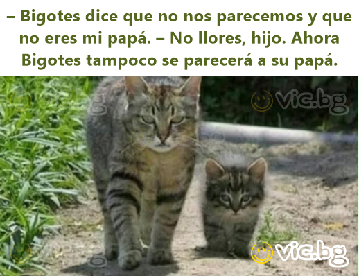 – Bigotes dice que no nos parecemos y que no eres mi papá. – No llores, hijo. Ahora Bigotes tampoco se parecerá a su papá.