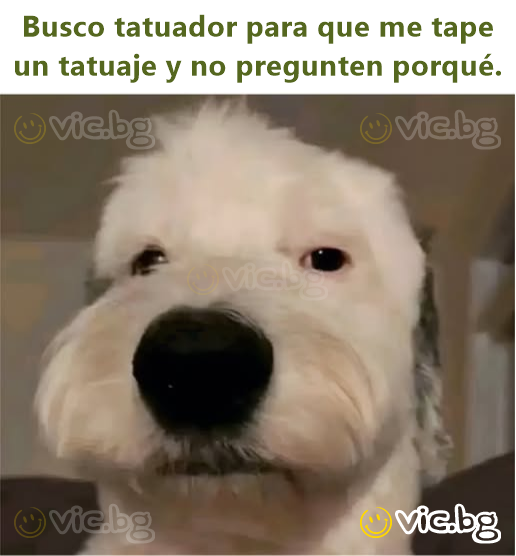 Busco tatuador para que me tape un tatuaje y no pregunten porqué.