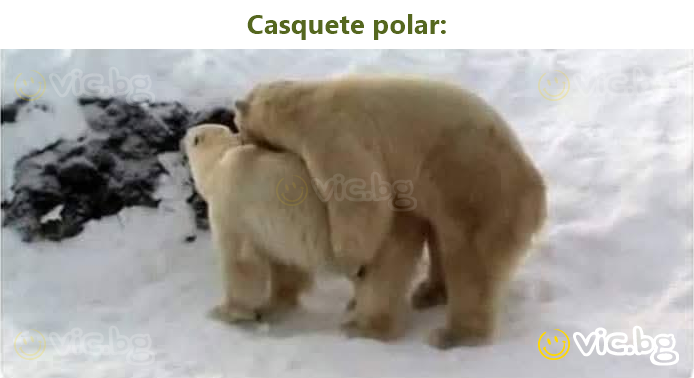 Casquete polar: