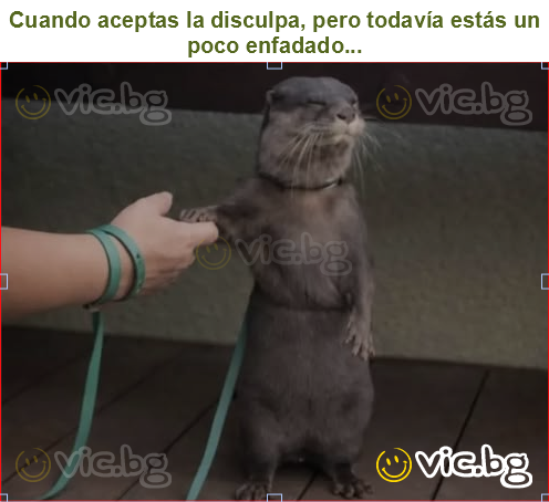 Cuando aceptas la disculpa, pero todavía estás un poco enfadado...