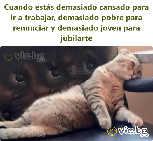 Cuando estás demasiado cansado para ir a trabajar, demasiado pobre para renunciar y demasiado joven para jubilarte