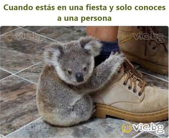 Cuando estás en una fiesta y solo conoces a una persona