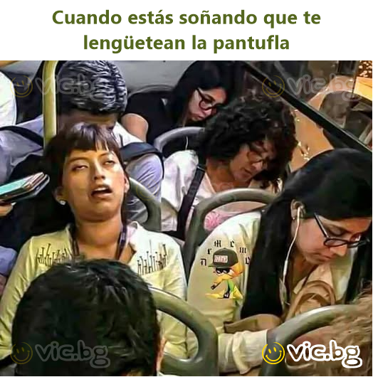 Cuando estás soñando que te lengüetean la pantufla