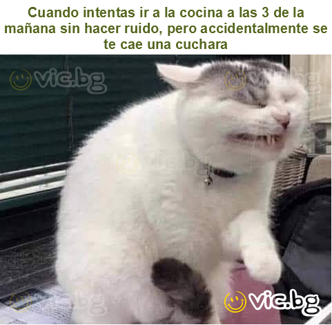 Cuando intentas ir a la cocina a las 3 de la mañana sin hacer ruido, pero accidentalmente se te cae una cuchara