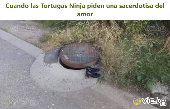 Cuando las Tortugas Ninja piden una sacerdotisa del amor