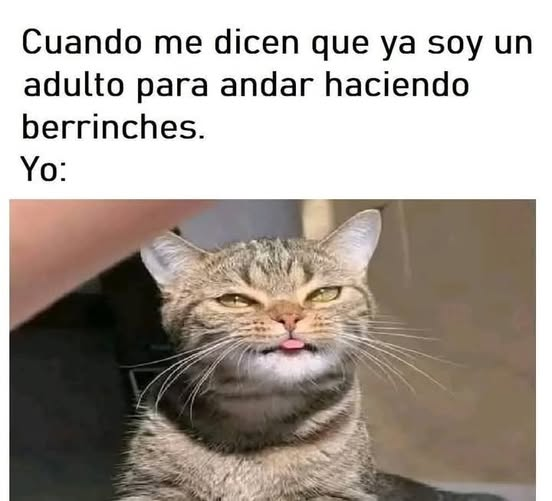Cuando me dicen que ya soy un adulto para andar haciendo berrinches. Yo: