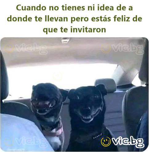 Cuando no tienes ni idea de a donde te llevan pero estás feliz de que te invitaron