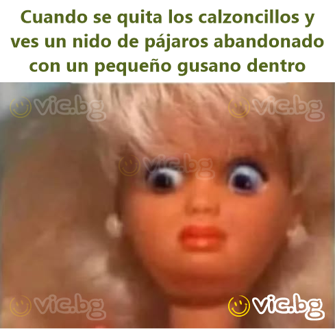 Cuando se quita los calzoncillos y ves un nido de pájaros abandonado con un pequeño gusano dentro