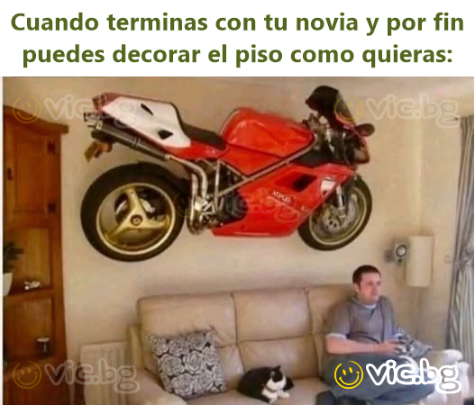 Cuando terminas con tu novia y por fin puedes decorar el piso como quieras: