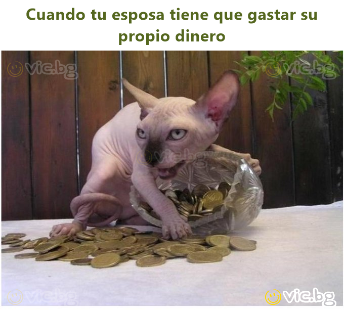 Cuando tu esposa tiene que gastar su propio dinero