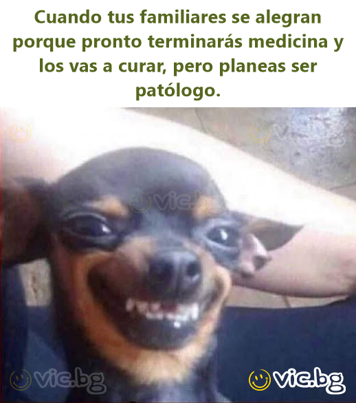 Cuando tus familiares se alegran porque pronto terminarás medicina y los vas a curar, pero planeas ser patólogo.