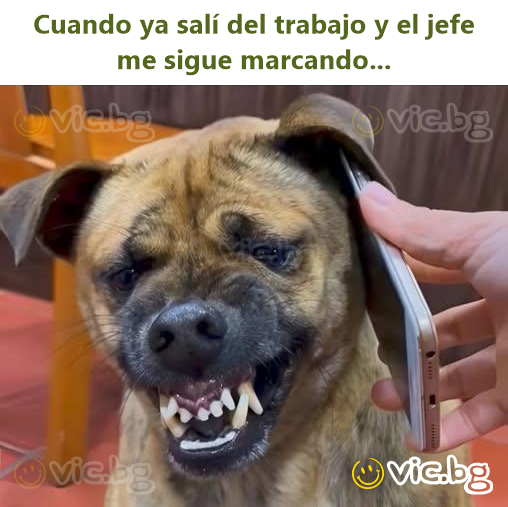 Cuando ya salí del trabajo y el jefe me sigue marcando...