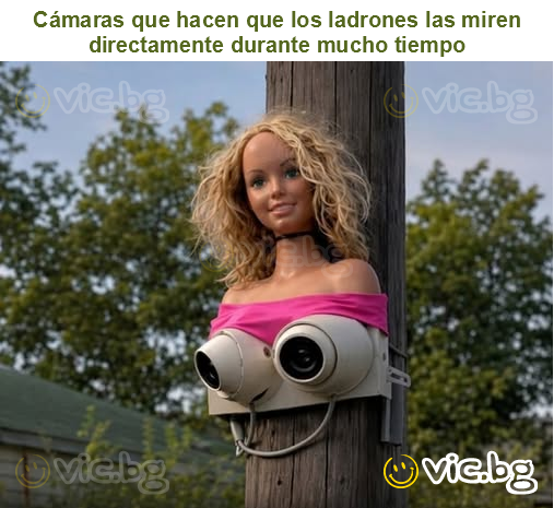 Cámaras que hacen que los ladrones las miren directamente durante mucho tiempo
