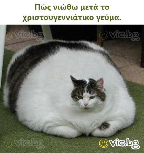 Cómo me siento después de la comida de Navidad.