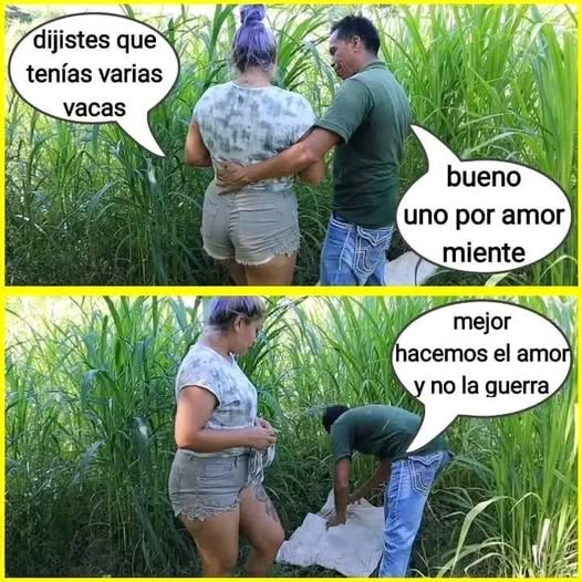 Dijistes que tenías varias vacas. Bueno uno por amor miente. Mejor hacemos el amor y no la guerra