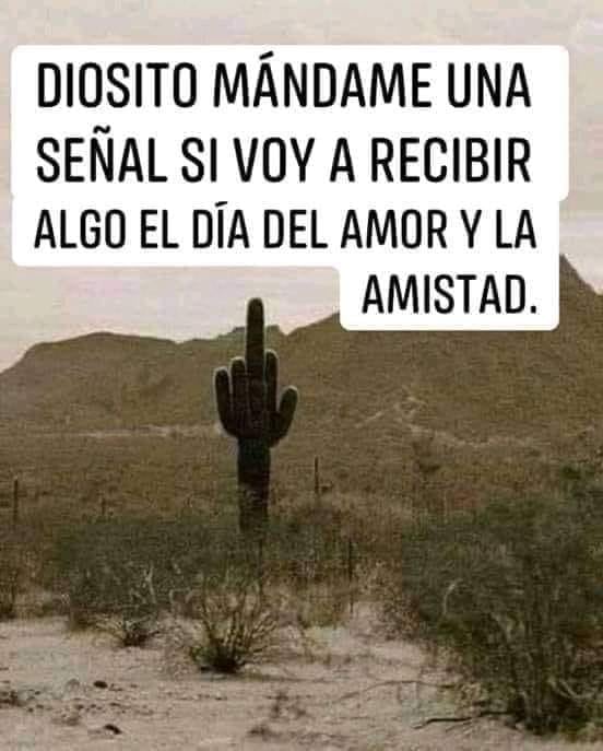 Diosito mändame una senal si voy a recibir algo el dia del amor la y la amistad.