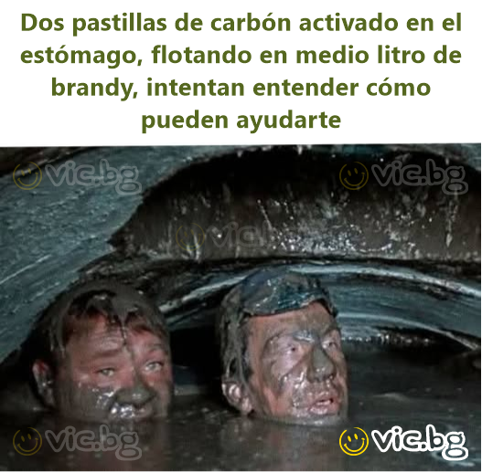 Dos pastillas de carbón activado en el estómago, flotando en medio litro de brandy, intentan entender cómo pueden ayudarte