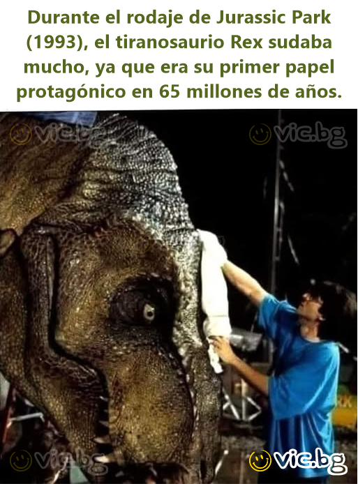 Durante el rodaje de Jurassic Park (1993), el tiranosaurio Rex sudaba mucho, ya que era su primer papel protagónico en 65 millones de años.