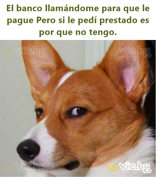 El banco llamándome para que le pague Pero si le pedí prestado es por que no tengo.
