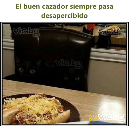 El buen cazador siempre pasa desapercibido