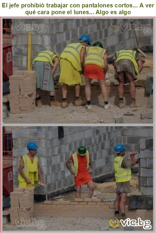 El jefe prohibió trabajar con pantalones cortos... A ver qué cara pone el lunes... Algo es algo