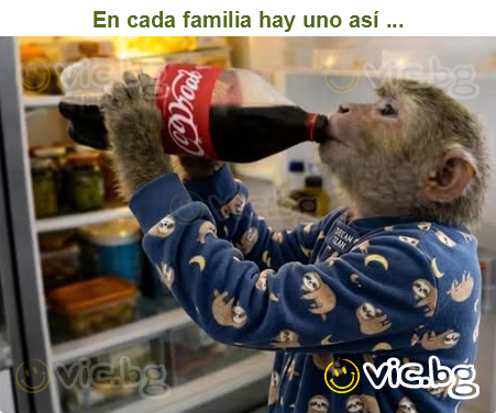 En cada familia hay uno así ...