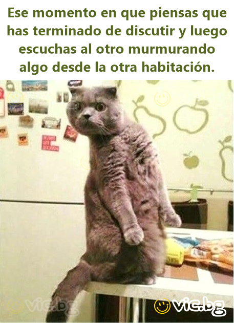 Ese momento en que piensas que has terminado de discutir y luego escuchas al otro murmurando algo desde la otra habitación.