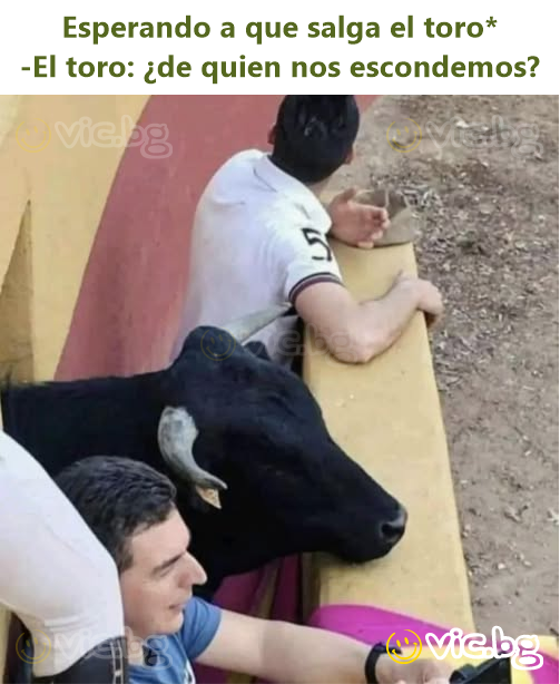 Esperando a que salga el toro*  -El toro: ¿de quien nos escondemos?