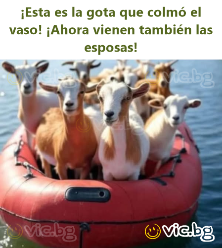 ¡Esta es la gota que colmó el vaso! ¡Ahora vienen también las esposas!