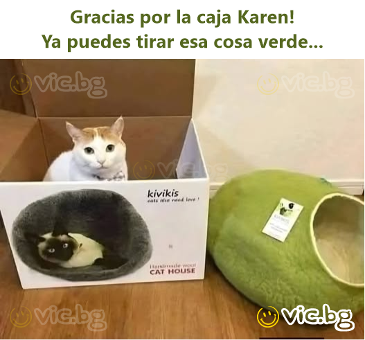 Gracias por la caja Karen!  Ya puedes tirar esa cosa verde...