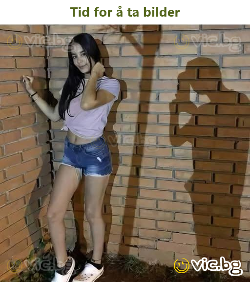 La paradoja del реrrо de Schrödinger. La caja ESTÁ y NO ESTÁ al mismo tiempo