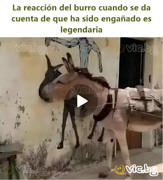 La reacción del вurrо cuando se da cuenta de que ha sido engañado es legendaria