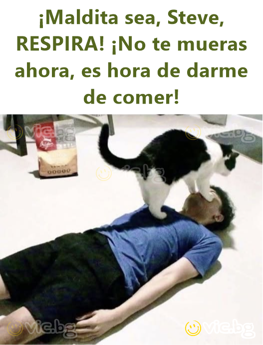 ¡Maldita sea, Steve, RESPIRA! ¡No te mueras ahora, es hora de darme de comer!