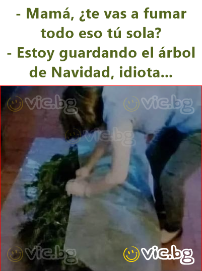 - Mamá, ¿te vas a fumar todo eso tú sola?  - Estoy guardando el árbol de Navidad, idiota...