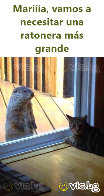Marííía, vamos a necesitar una ratonera más grande