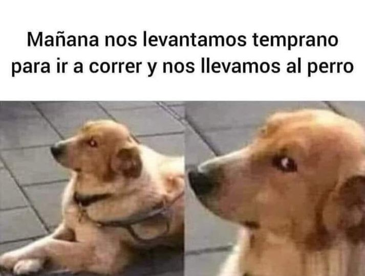 Mañana nos levantamos temprano para ir a correr y nos llevamos al perro