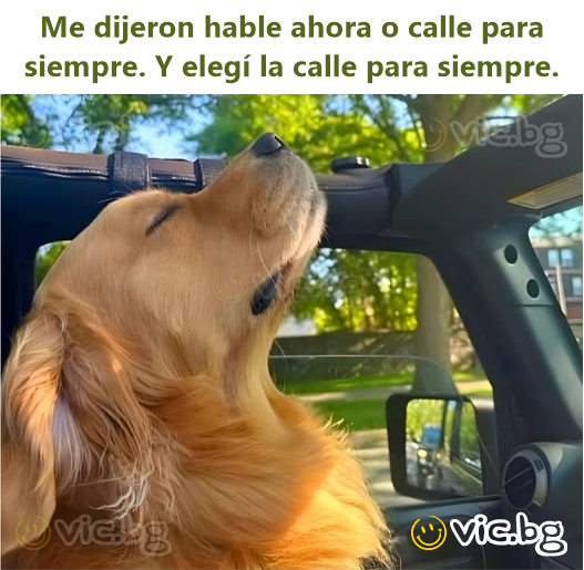 Me dijeron hable ahora o calle para siempre. Y elegí la calle para siempre.