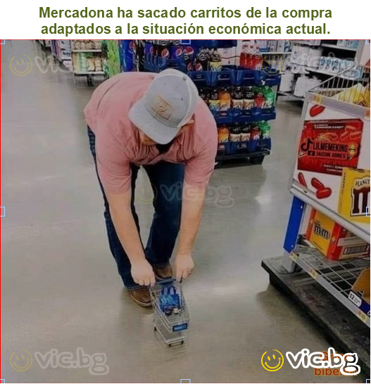 Mercadona ha sacado carritos de la compra adaptados a la situación económica actual.