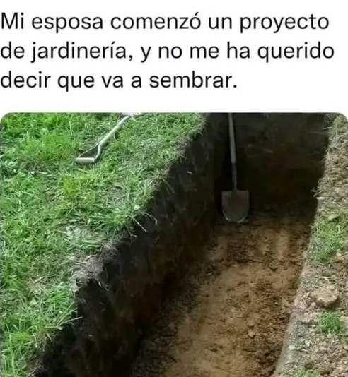 Mi esposa comenzó un proyecto de jardinería, y no me ha querido decir que va a sembrar.