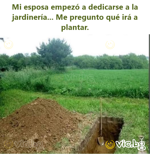 Mi esposa empezó a dedicarse a la jardinería... Me pregunto qué irá a plantar.