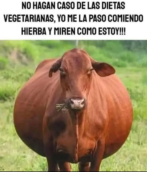 No hagan caso de las dietas vegetarianas, yo me la paso comiendo hierba y miren como estoy!!!