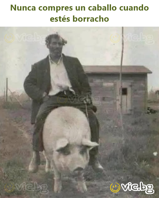 Nunca compres un caballo cuando estés borracho