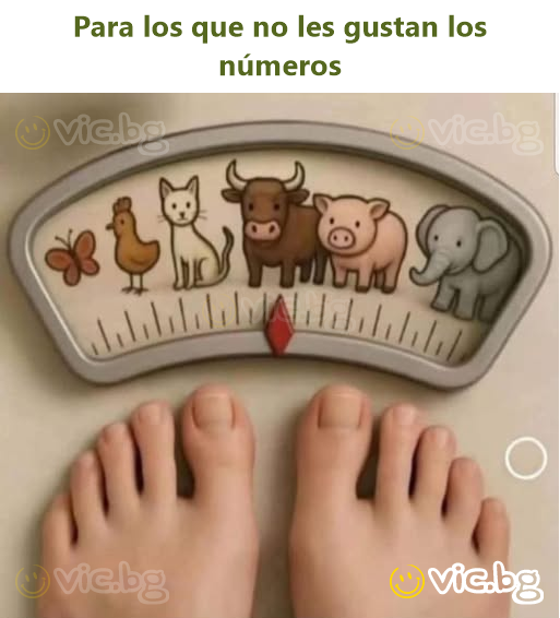 Para los que no les gustan los números