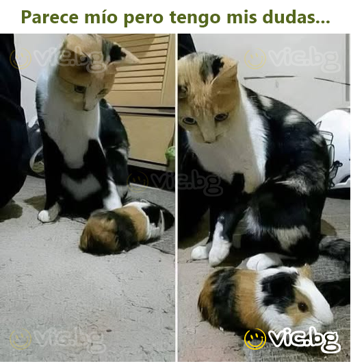 Parece mío pero tengo mis dudas...