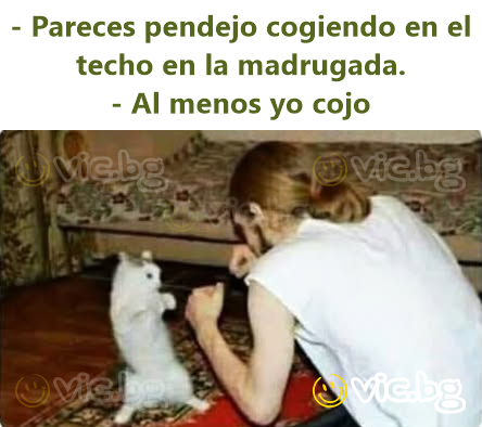 - Pareces pendejo cogiendo en el techo en la madrugada. - Al menos yo cojo