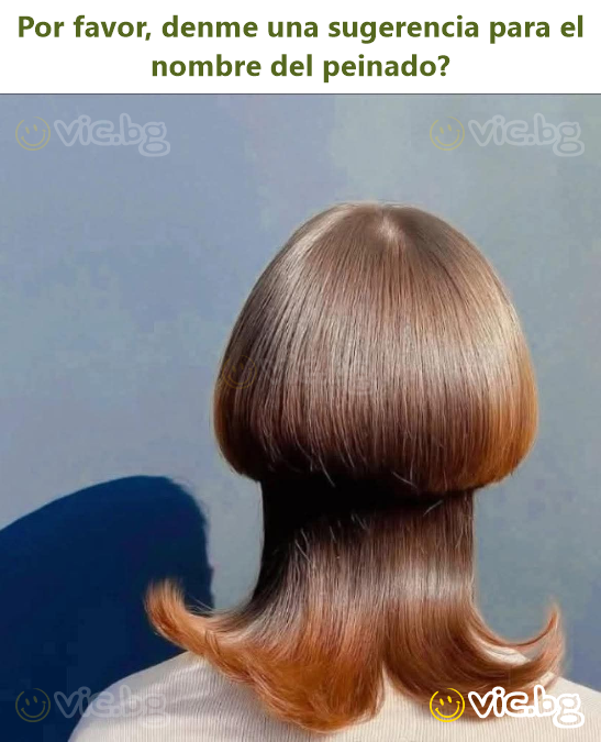 Por favor, denme una sugerencia para el nombre del peinado?